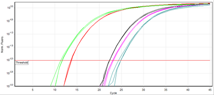 Chart Pcr