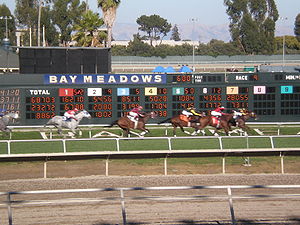 Race 9 at 17:58 on August 10, 2008 at Bay Mead...