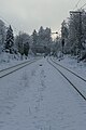 * Nomination: Rail tracks at Bahnhof Ebenhausen-Schäftlarn - looking along the tracks towards Icking --Kritzolina 16:25, 11 January 2024 (UTC) * * Review needed