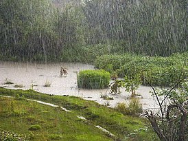 В этот день славяне молились о ниспослании сильного дождя
