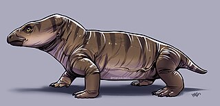 <i>Rastodon</i> Extinct genus of dicynodonts