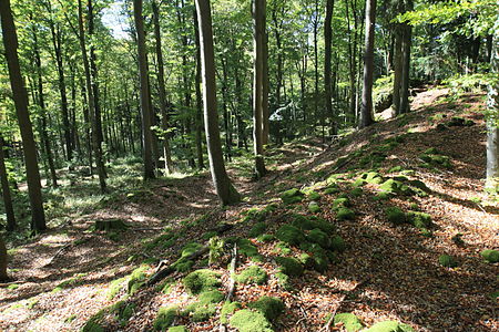 Ringwall Schlossberg (Burggaillenreuth) 01