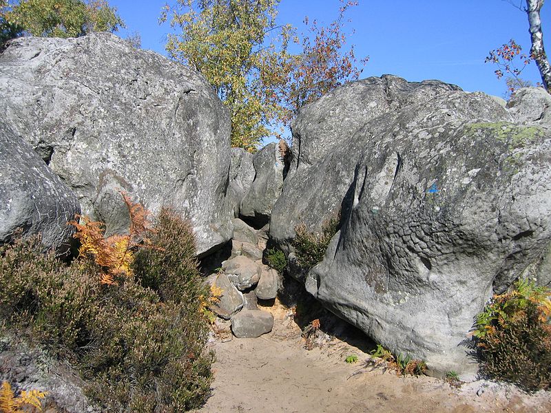 File:Rochers en forêt de Fontainebleau6.JPG