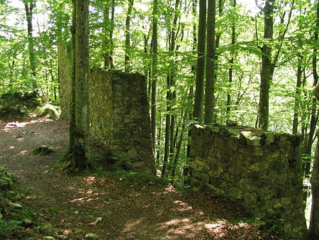 Ruine Neuenbuchberg 1