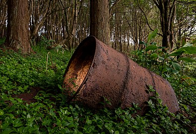 Rusty oil barrel along the PR04 SMA hiking trail, Santa Maria, Azores, Portugal
