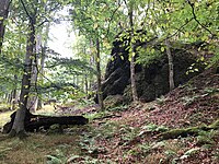 Column basalt cliffs "Wichtelrain"