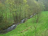 Blick in das Trusetal unterhalb von Brotterode .