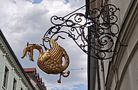 Bratislava (Greif an Nasenschild)