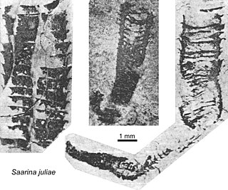 <span class="mw-page-title-main">Saarina</span>