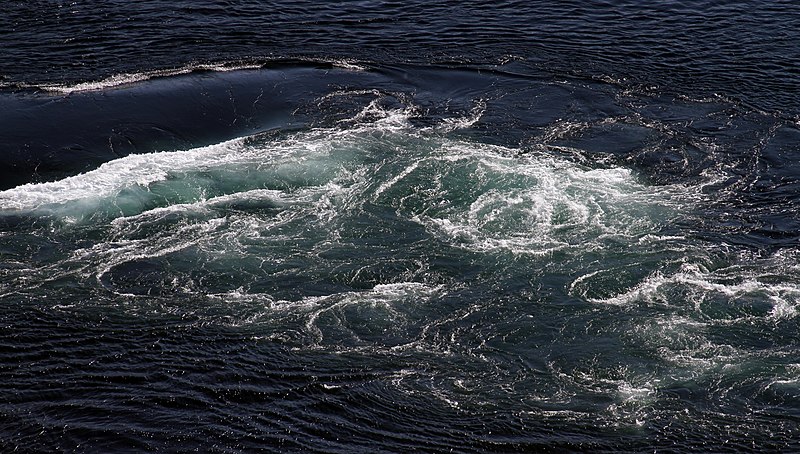 File:Saltstraumen-32-2019-gje.jpg