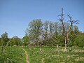 Blick auf den Hang