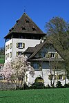 Auenstein Castle