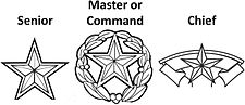 Air Force skill level badge symbols Seniormaster.jpg