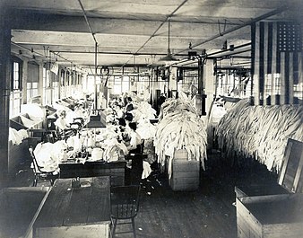 A long row of women inside of a factory