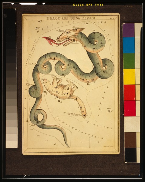 File:Sidney Hall - Urania's Mirror - Draco and Ursa Minor - Original.tif