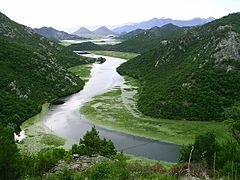 ušće rijeke Crnojevića u Skadarsko jezero