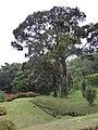 Jardin public Sri Lankais.Category:public gardens in Sri Lanka