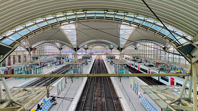 File:Station Leuven Sporen.jpg