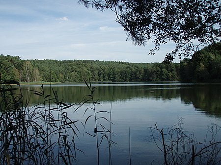 Stiller Treppelsee (2015 08 26)