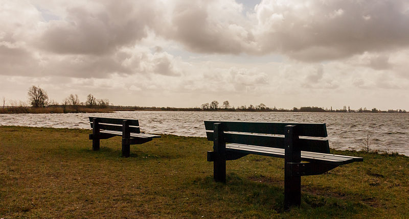 File:Stormachtige wind boven Langweerder Wielen (Langwarder Wielen) 08.jpg