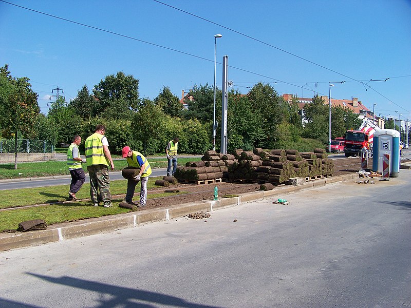 File:Strašnice, Průběžná, rekonstrukce TT, pokládka trávy (04).jpg