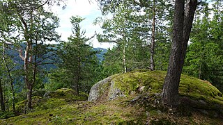 Gipfelfelsen mit länglichen Einstemmungen. Hier stand vermutlich der fünfeckige Wohnturm. 2023