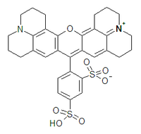 Imagen ilustrativa del artículo Sulforhodamine 101