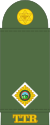 TaT-Army-OF-(D).svg