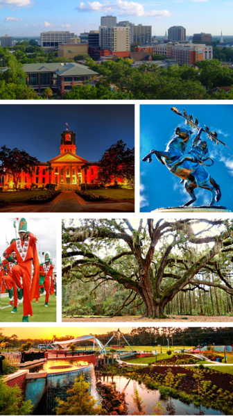 File:Tallahassee Header for Wikipedia.png