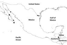 Tarsonops species distribution map.png