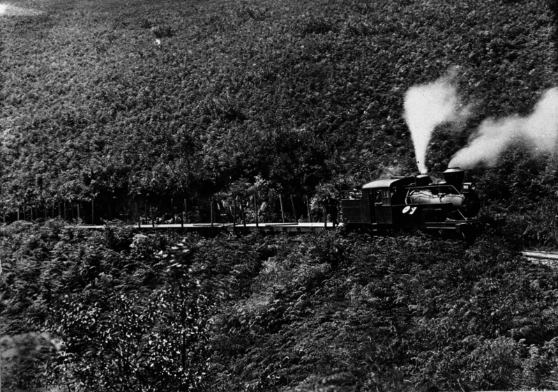 File:Taupo Totara Timber Company train on the way to Mokai ATLIB 337329.png