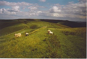 The Wansdyke on Tan Hill The Wansdyke on Tan Hill. - geograph.org.uk - 187162.jpg