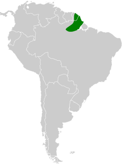 Distribución geográfica del ermitaño barbudo guayanés.