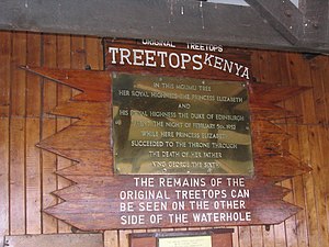 Treetops Hotel