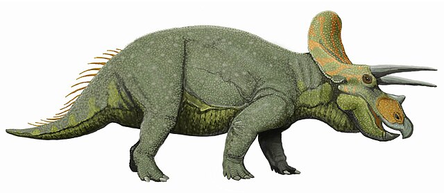 triceratops