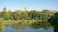 * Nomination View of Turtle Pond from Belvedere Castle in Central Park, New York City --Jakubhal 05:12, 10 November 2023 (UTC) * Promotion  Support Good quality. --Plozessor 05:52, 10 November 2023 (UTC)