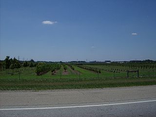 <span class="mw-page-title-main">Turtlecreek Township, Warren County, Ohio</span> Township in Ohio, United States