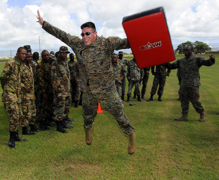 File:U.S. Marine Corps Sgt. Edan Valkner, center, demonstrates a star jump for members of the Royal Barbados Defense Force during a martial arts educational exchange in Bridgetown, Barbados, Aug. 20, 2010 100820-N-EP471-050.jpg