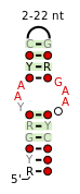 UAA GAN-secondary-structure.svg