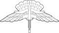 Freefall Parachutist Badges (Basic and Master)