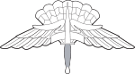 Army & Air Force HALO/HAHO Badge