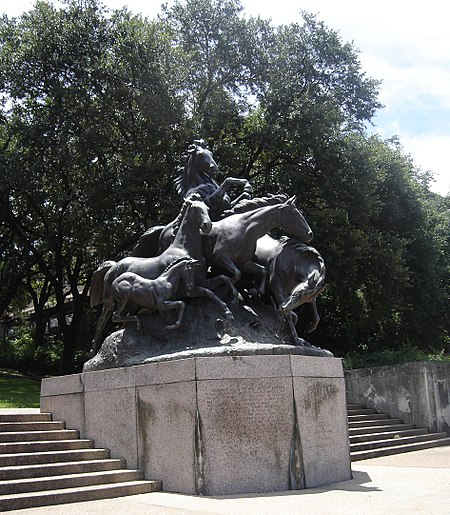 UT Austin Mustangs