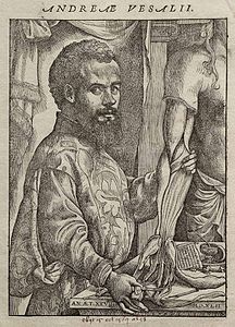 Vesalius Fabrica portrait.jpg