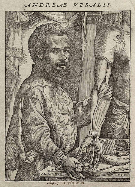 ไฟล์:Vesalius_Fabrica_portrait.jpg