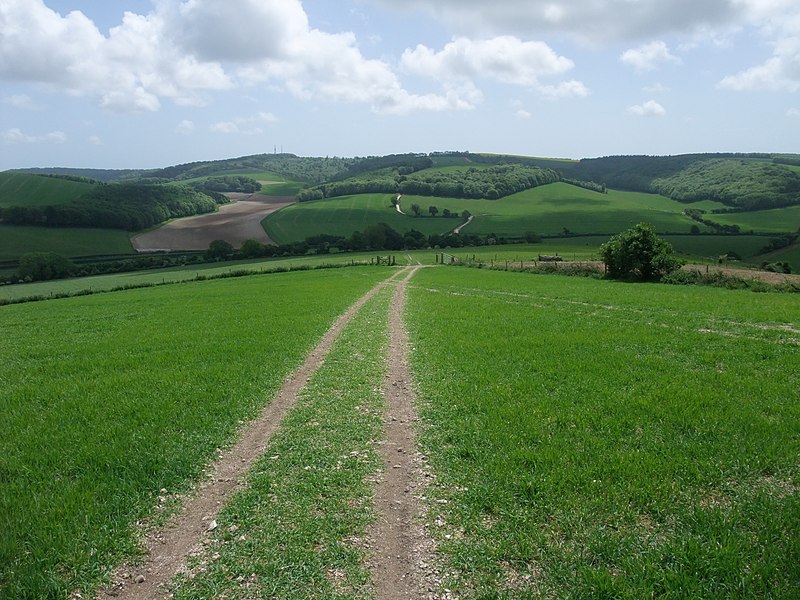 File:View from Littleton Down - geograph.org.uk - 2437868.jpg