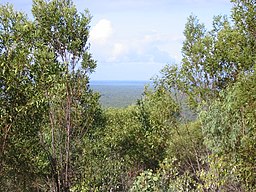 Utsikt från Mount Doongals topp.