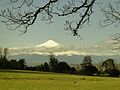 Volcán Villarrica - panoramio.jpg