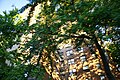 This photo is of Wikis Take Manhattan goal code B6, Riverton Houses.