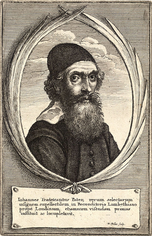 Engraving of John Tradescant the Elder by Wenceslas Hollar