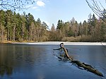 Wiesbüttsee